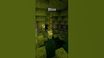 Rate this shader out of 10 in Minecraft! #minecraft #viral #shorts