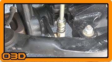 Steinjäger (Steinjager) Quick Disconnect Overview