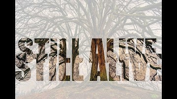 Double Screen Mixing or Overlay Effect in Filmora 9 | STiLL ALiVE | 👍👍👍|