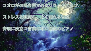 夜に月明かりの下で音楽を読むと気持ちが落ち着き、リラックスして効果的に勉強に集中できます