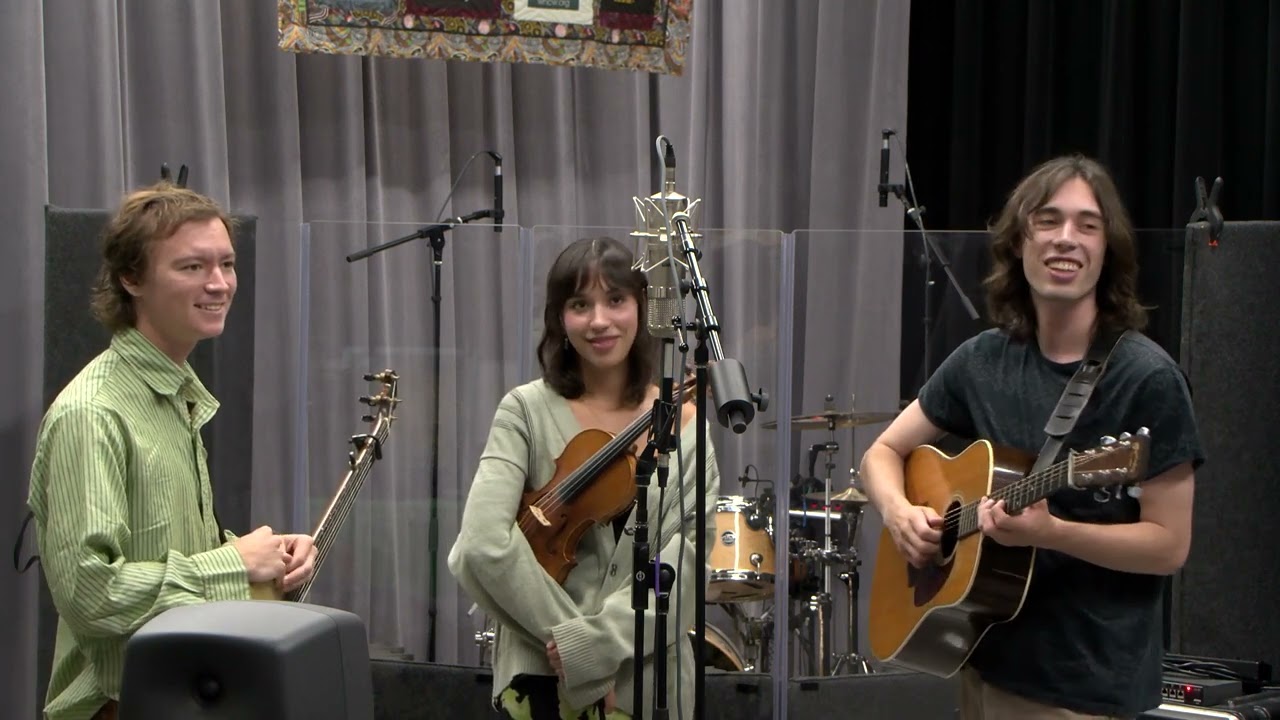 The Wildmans - Brushy Fork