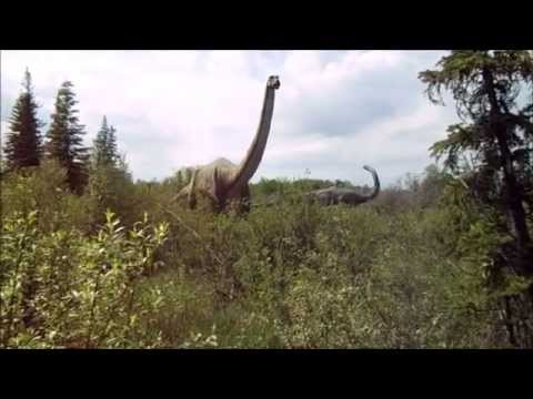 Jurassic Forest in Gibbons, close to Edmonton AB