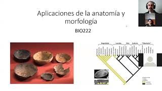 Biología Vegetal II 2021: aplicaciones de la anatomía y morfología