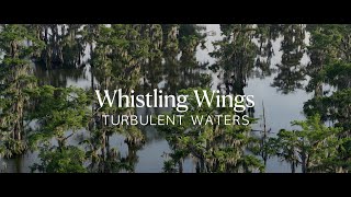 Are Whistling Ducks in Louisiana doomed? Whistling Wings....Turbulent Waters