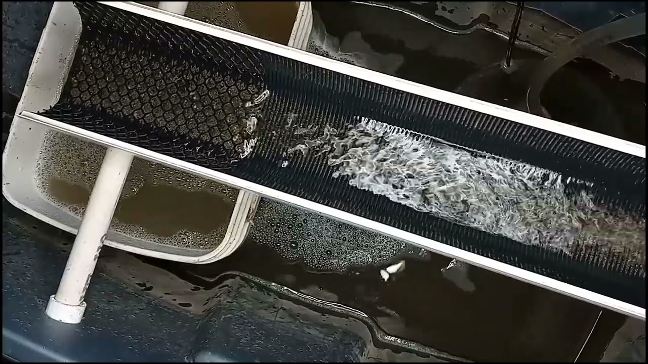 Mail Call & Gutter sluice