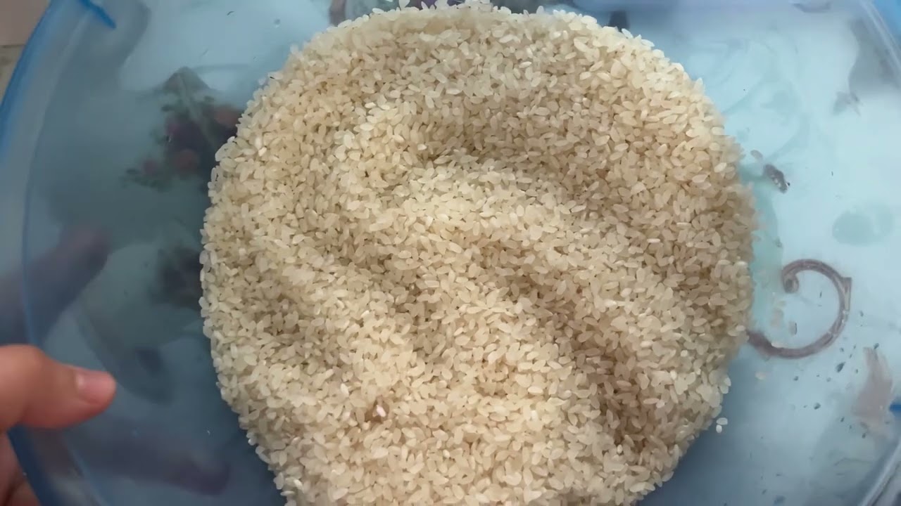 Домашний плов