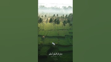 وجدتها وقومها يسجدون | القارئ بلال دربالي | سورة النمل | يوم الجمعة