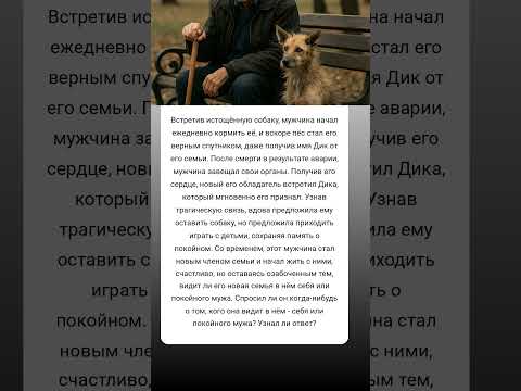 Сердце незнакомца: как трагедия связала две семьи 💔🐾 #ИсторияСердца #Чудеса