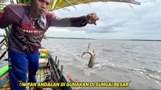 1 Fishing Spot with Waves of Fish Causing a Riot. #fishing