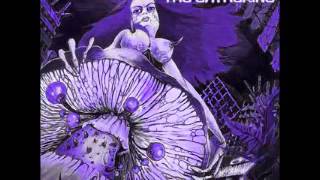 3, Return Of The Shadows   Infected Mushroom