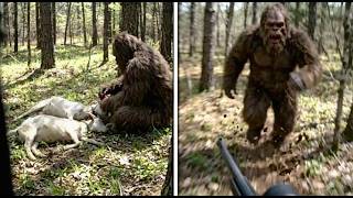 The Most Compelling NEW Clear BIGFOOT Footage EVER Recorded!