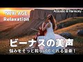 【最高音質】悩みをそっと和らげてくれる音楽!/癒し/リラックス/作業用/洋楽/Cozy music/Chill #癒し #リラックス #女性ボーカル
