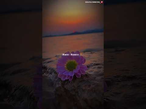 Pyaar Karke 🥺❤️ | Nirvair Pannu | Punjabi Love Status