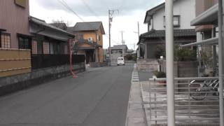 巣箱に小鳥が来ました。（春ですね）