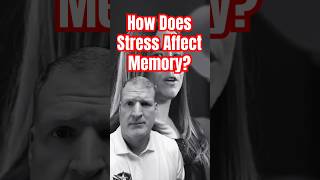 Here’s How Stress Affects Your Memory