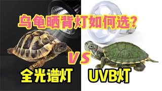 乌龟晒背灯如何选？全光谱灯和UVB灯到底买哪个？测试仪实测揭秘