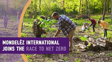 Our Commitment To A 2050 Net Zero Emissions Target