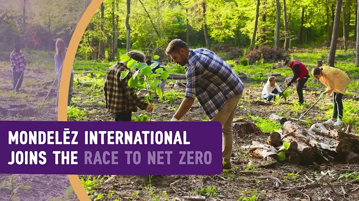 Our Commitment To A 2050 Net Zero Emissions Target