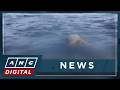 Bodies suspected to be from sunken ferry in Basilan recovered | ANC