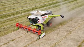 Claas Lexion 770 Terratrac - Loonw. De Bruyne - Graszaad Dorsen