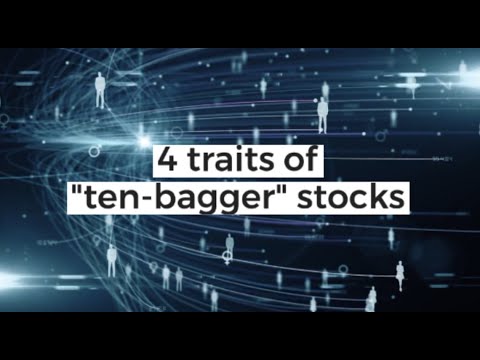 Tenbagger stock analysis | 4 traits of ten-bagger