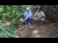 6 Venomous Snakes of Florida! Kamp Kenan S2 Episode 17