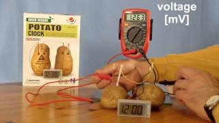 Potato Clock Experiment