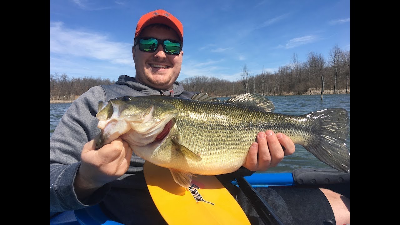 Numbers, Turtles, and a NEW PB Largemouth Bass YouTube