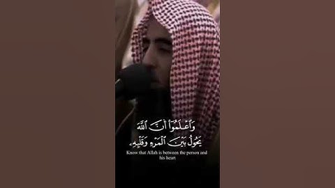 واعلموا ان الله " #القارئ #محمد_اللحيدان #محمد_اللحيدان_حالات_واتساب_قرآن #استوري_انستا_بدون_حقوق