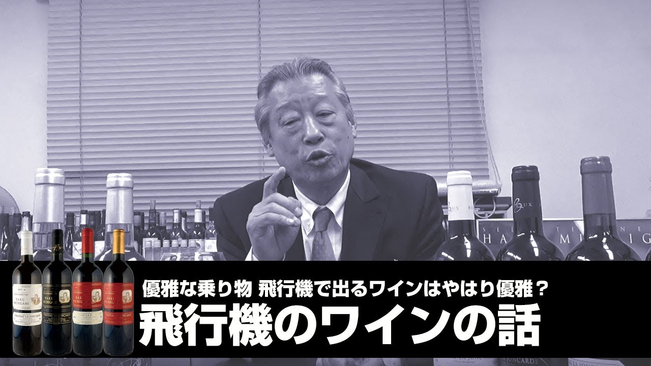 (85)【飛行機のワイン】～ノムリエのひとり言～ 【MICHIGAMIワイン】