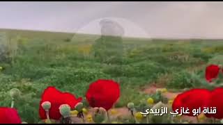 جرة ربابه/ ياناس قولو لغض العود/مشعان مجول ( يرحمه الله )