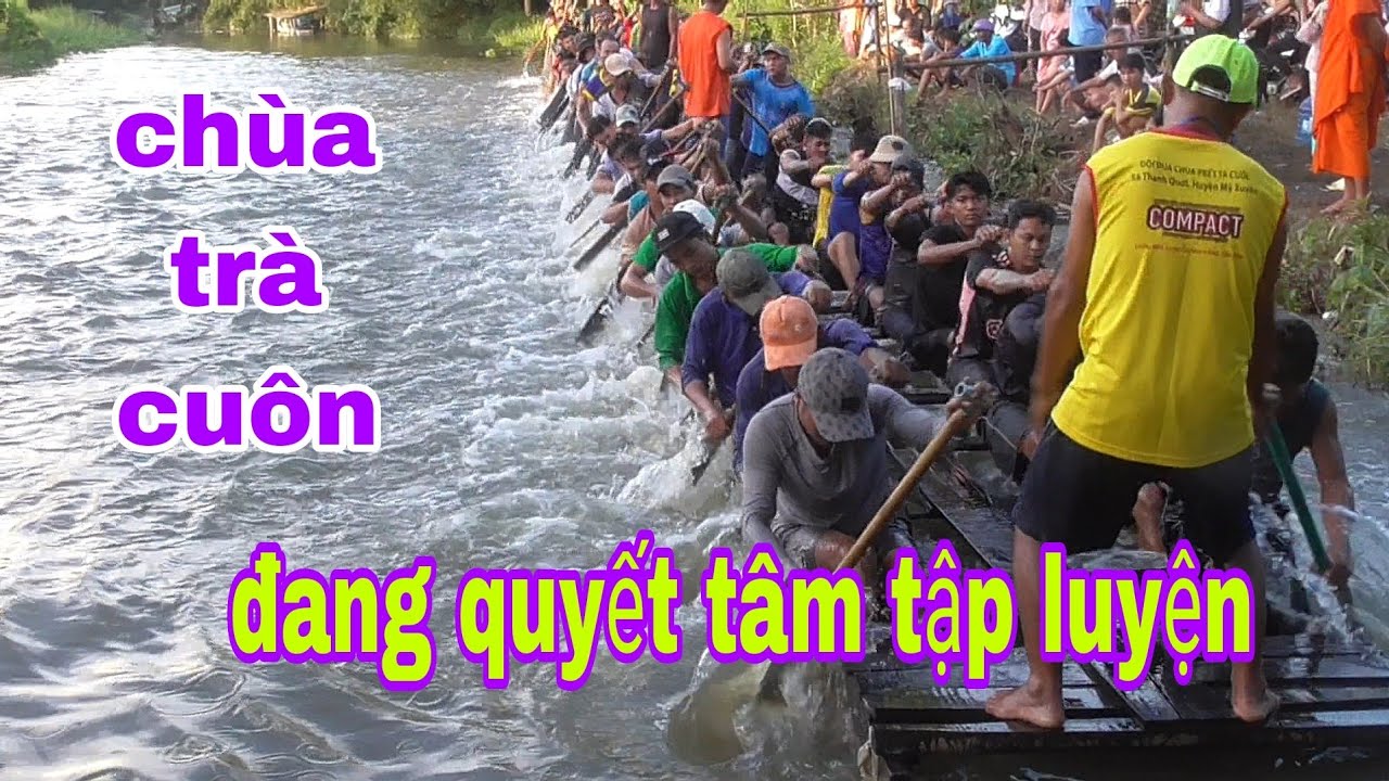 Chùa trà cuôn đang tập trên giàn ngày thứ 4