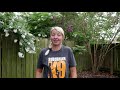Amber Haseltine is Training Dogs with Suburban K9!