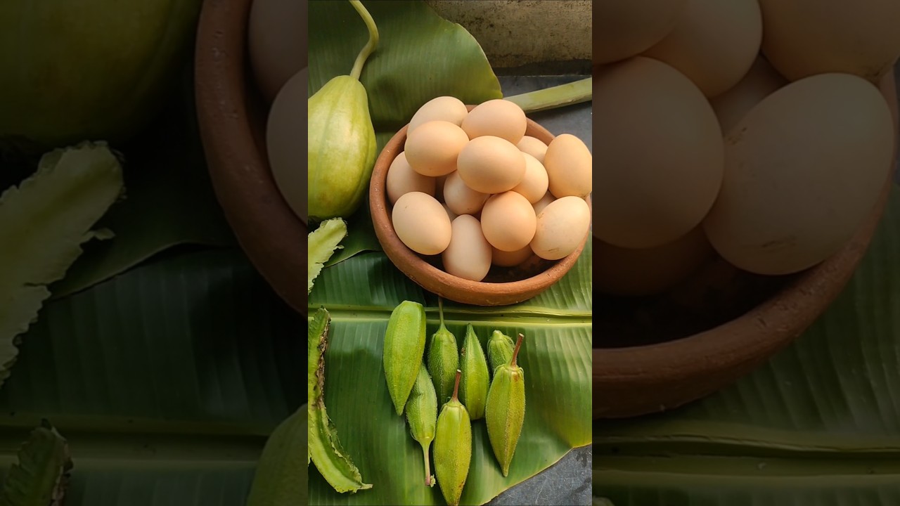 today harvesting vegitables and collecting desi egg