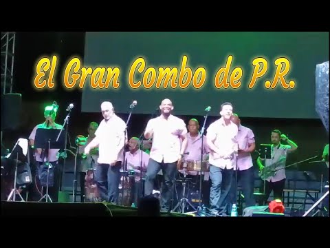 Capítulo 1: Orquesta