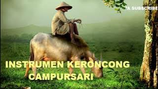 Instrument Langgam Keroncong