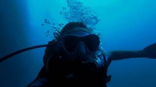 Дайвинг в Моалбоал с сардинами. Филиппины, Себу (diving in Philippines, Cebu, Moalboal)