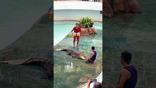Omg he played with crocodile 🐊😱 #crocodile #shorts #viral #animals #zoo