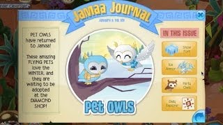 Animal Jam Updates - Jamaalidays Are Officially Over