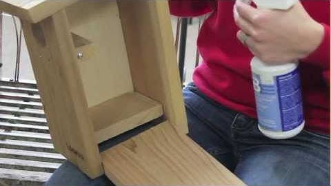 How to Properly Clean a Birdhouse