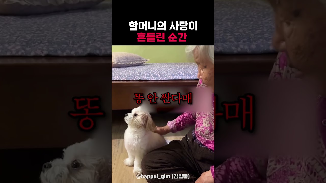 할머니의 사랑이 흔들린 순간 썸네일