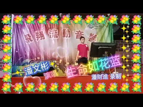 生命如花篮 #金典歌曲113 #潘文彬 演唱 #潘財進 录制.