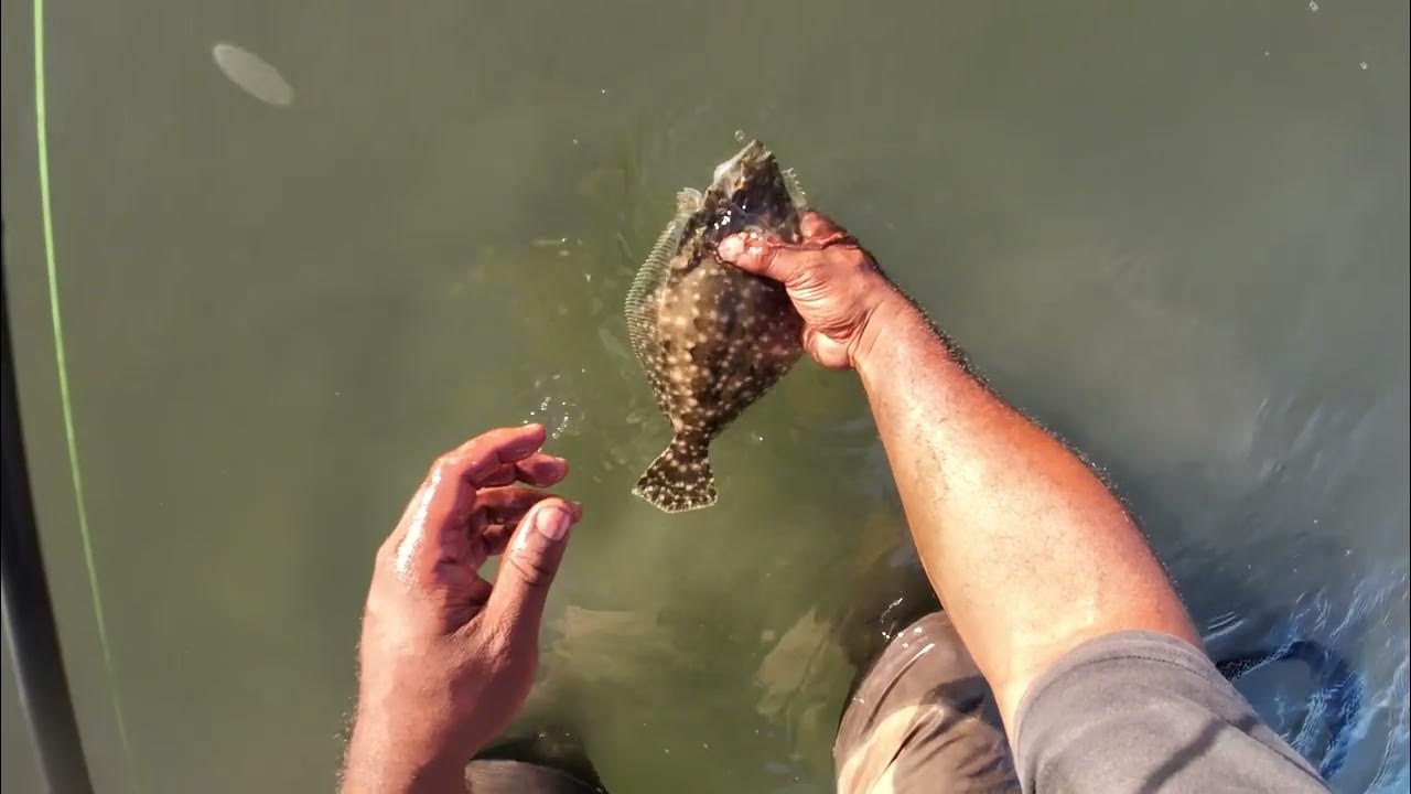 FLOUNDER FISHING 101 HOW TO RETREVIE YOUR BAIT FOR FLOUNDER YouTube