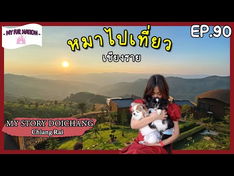 EP.90 - หมาไปเที่ยว 