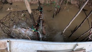 Download lagu Perangkap terubin kali ini ada jasa