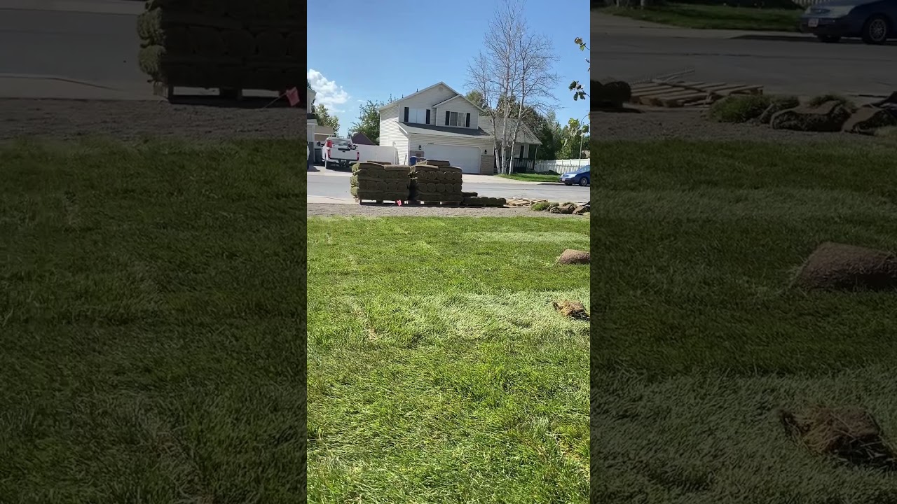 Install new sod