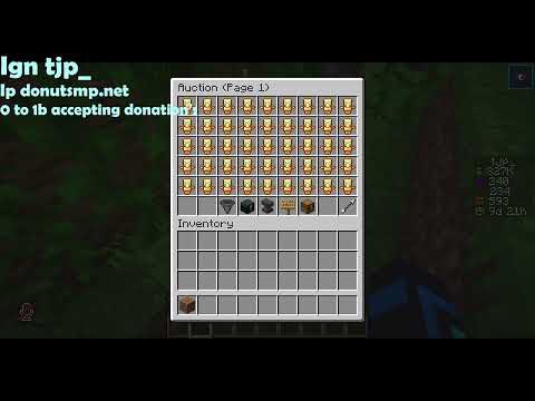 0 to 1b accepting donation's  Donut smp