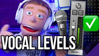 How To Record Vocals | Mic Setup, Levels, UAD Console