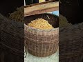 Use a big plane to peel French fries- Good tools and machinery make work easy