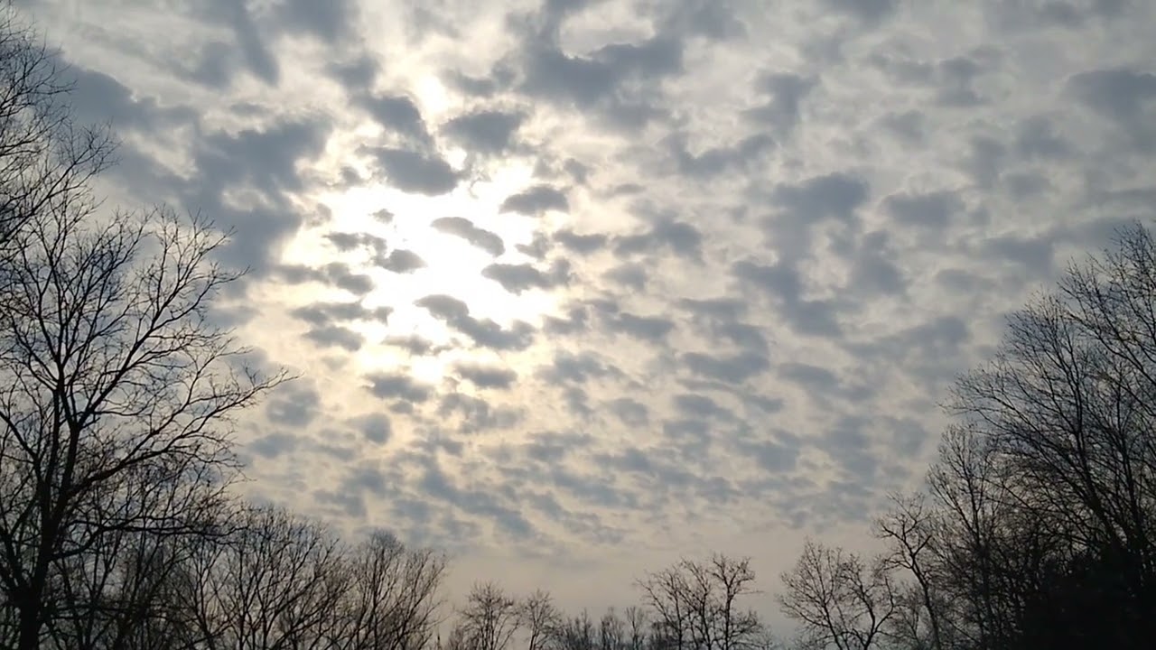 Near Schneider's Creek confluence with Grand River in Kitchener Ontario.